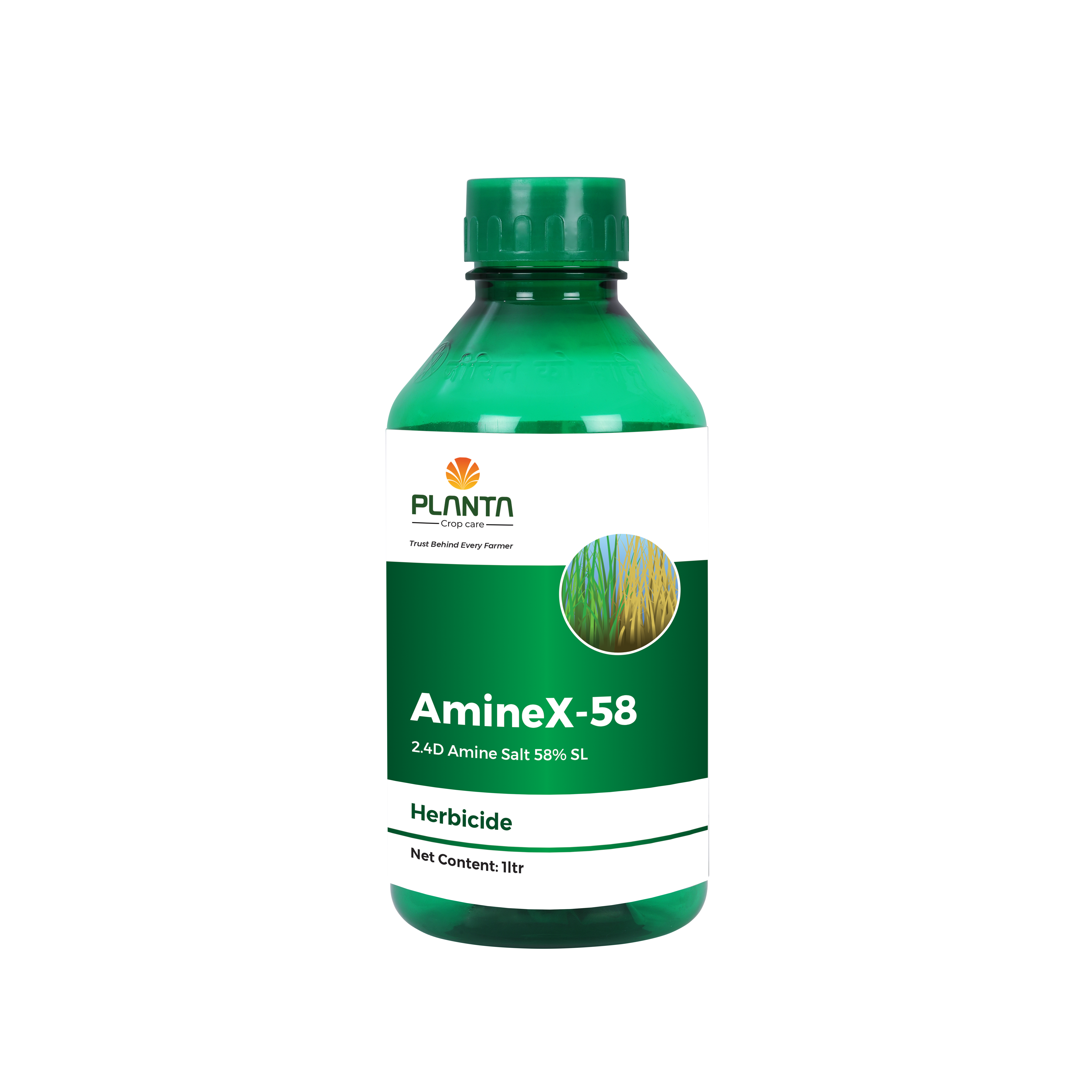 AmineX-58