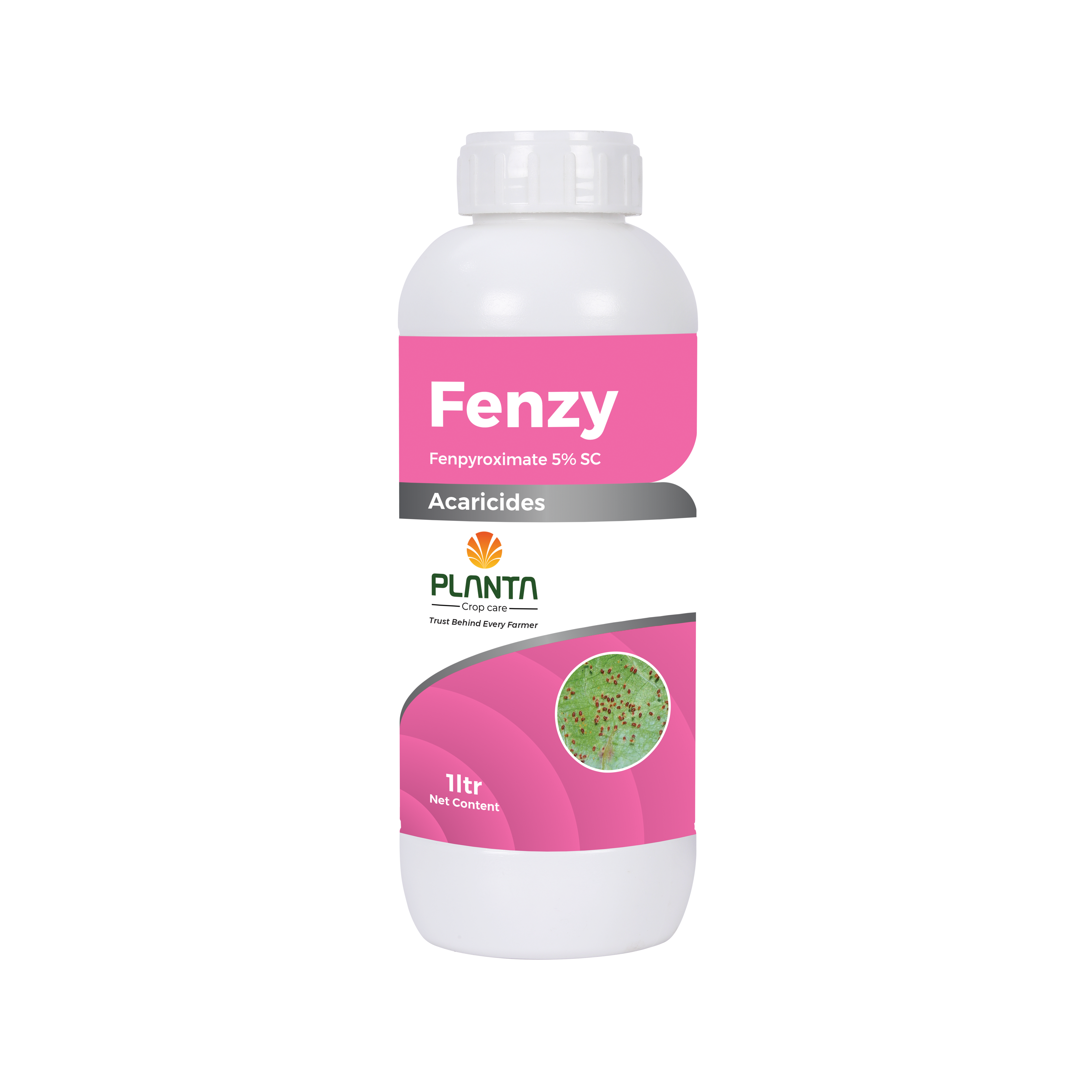 Fenzy