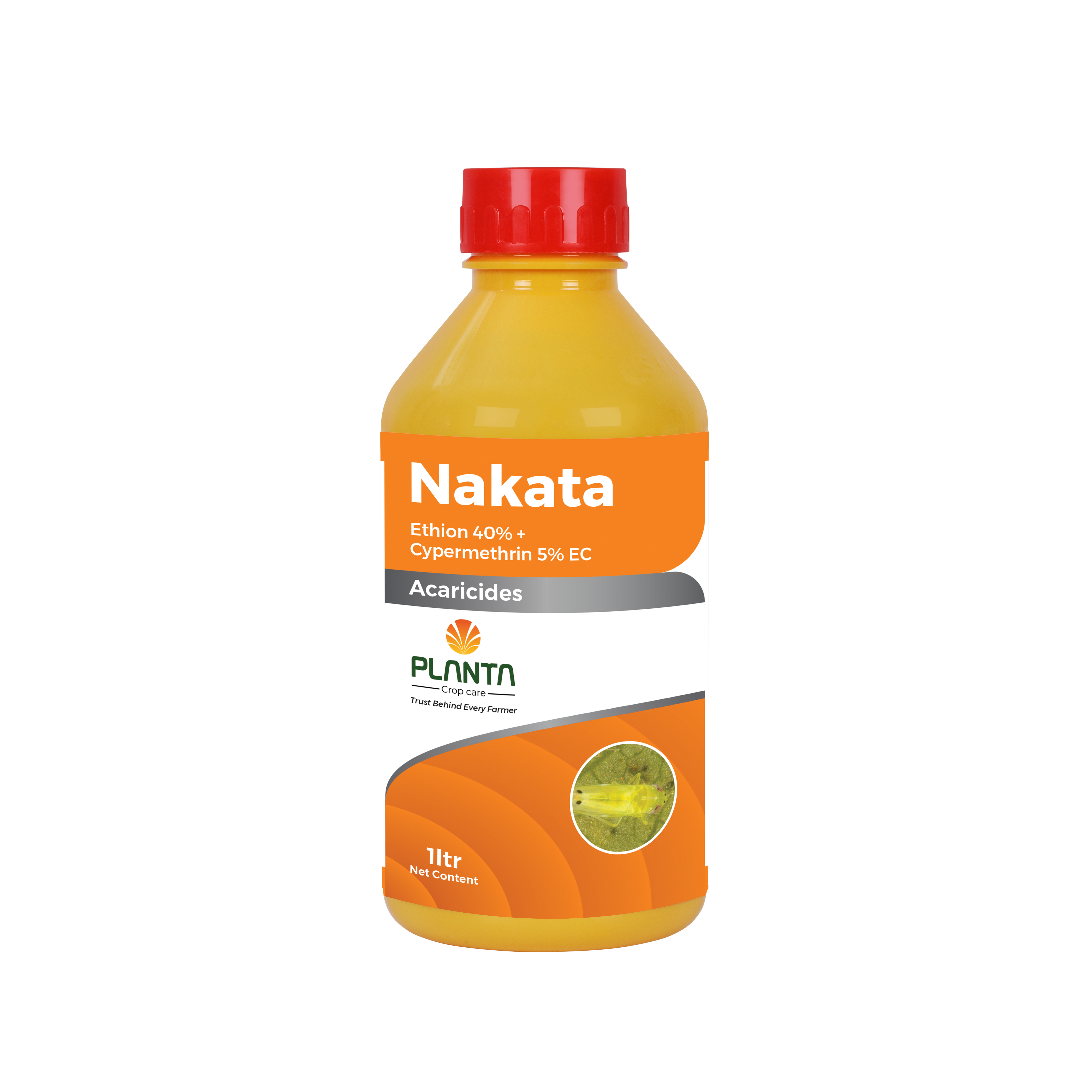 Nakata