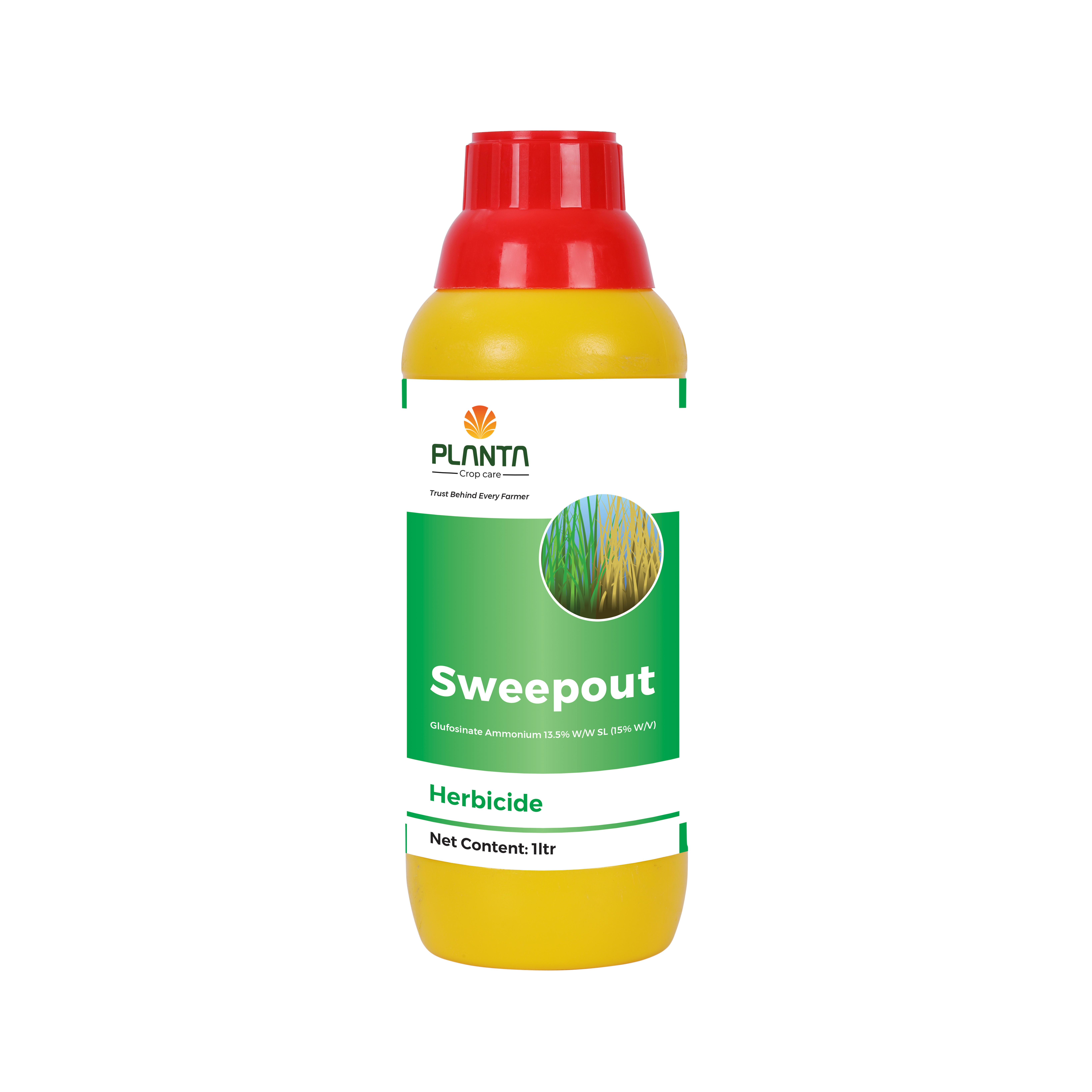SweepOut
